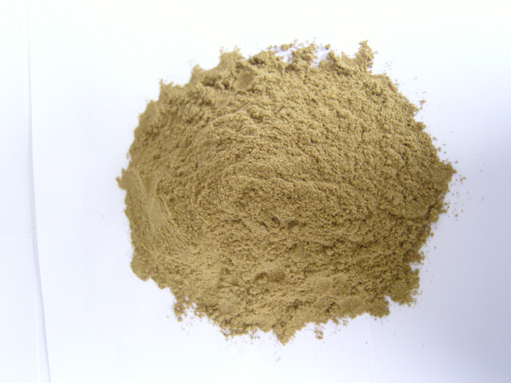 Cumin Powder