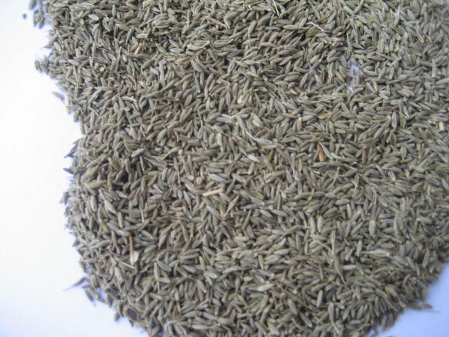 Cumin Seed