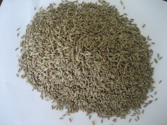 Cumin Seed