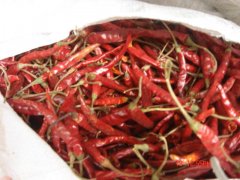 Yunnan Chilli with Stem