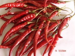 Yunnan Chilli