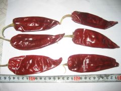 Yidu Chilli