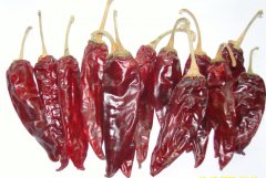 American Red Chilli