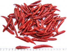 Chaotian Chilli