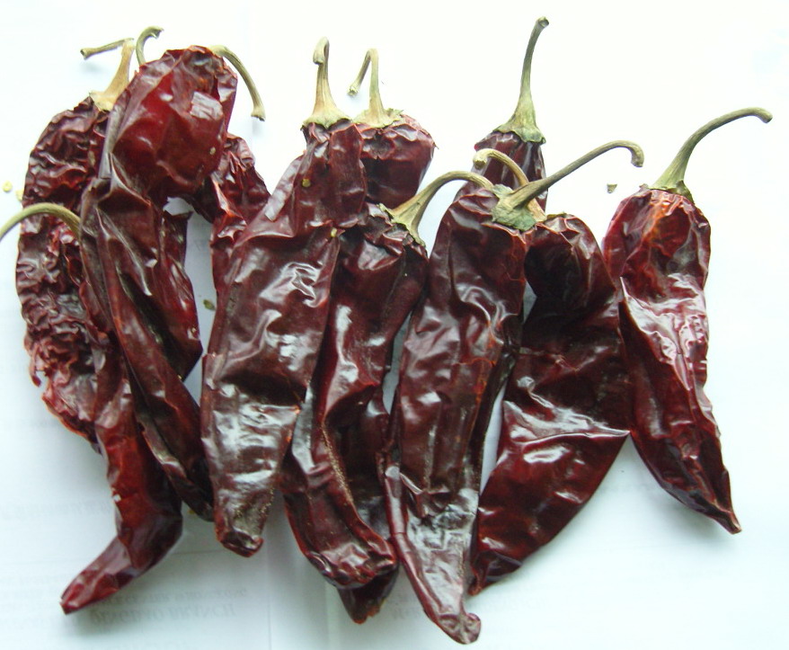 Paprika Pods