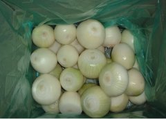 Fresh Peeled Onion