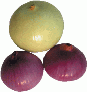 Red Onion